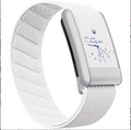 Vero Timeless Band